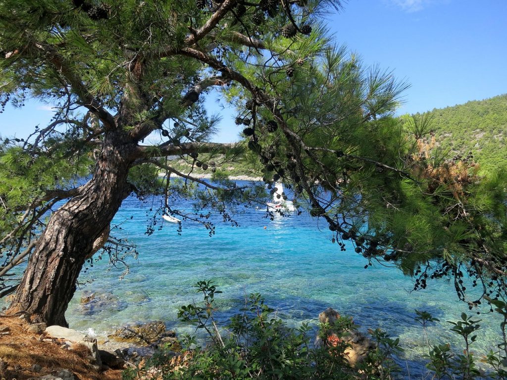 bodrum village, turkey, clear blue water, boat, nature, sunny, beach, sea