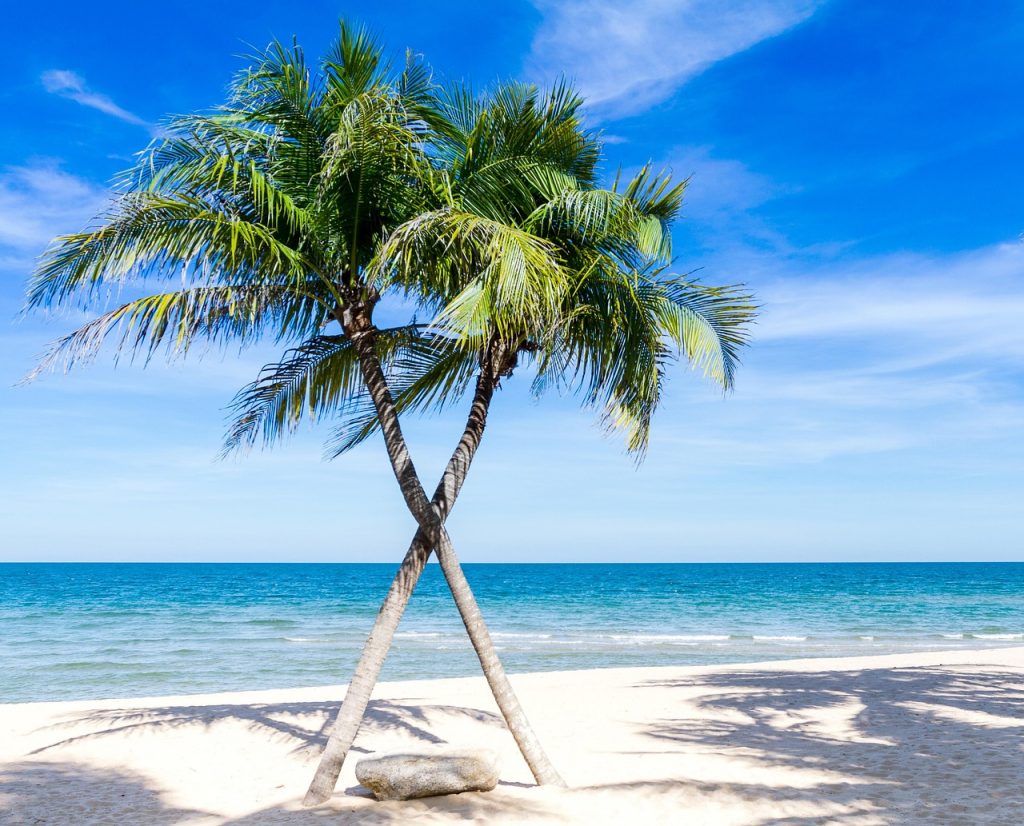 Home beach, palm trees, sea, seascape, horizon, tropical island, paradise, shore, seashore, caribbean, ocean, nature, outdoors, coastline, water, beach, beach, beach, beach, beach, palm trees
